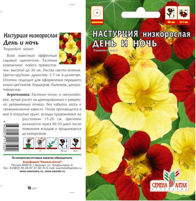 Настурция низкорослая день и ночь