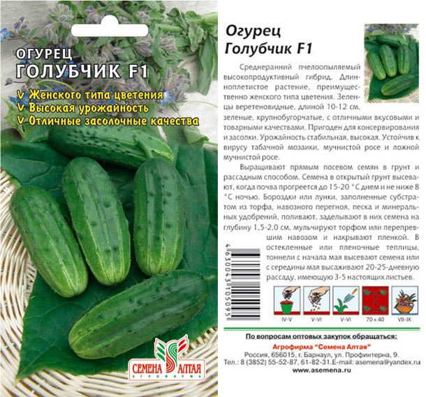 Огурец семеро козлят описание отзывы фото