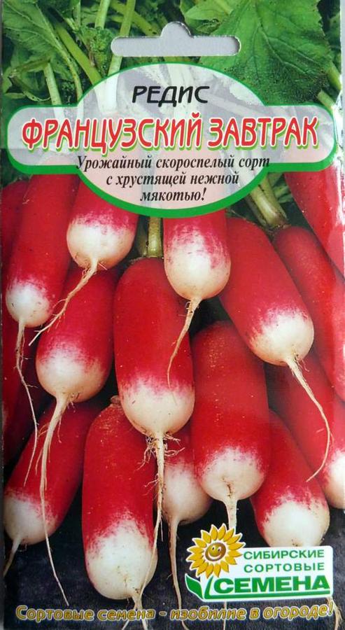 Редис французский завтрак описание сорта фото