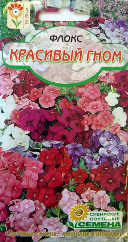 флокс гном выращивание. флоксы гном однолетние. флокс гном выращивание. флокс однолетник красный гном. флокс гном однолетник.