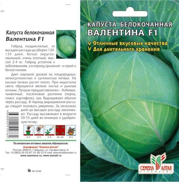 Капуста валентина описание отзывы фото