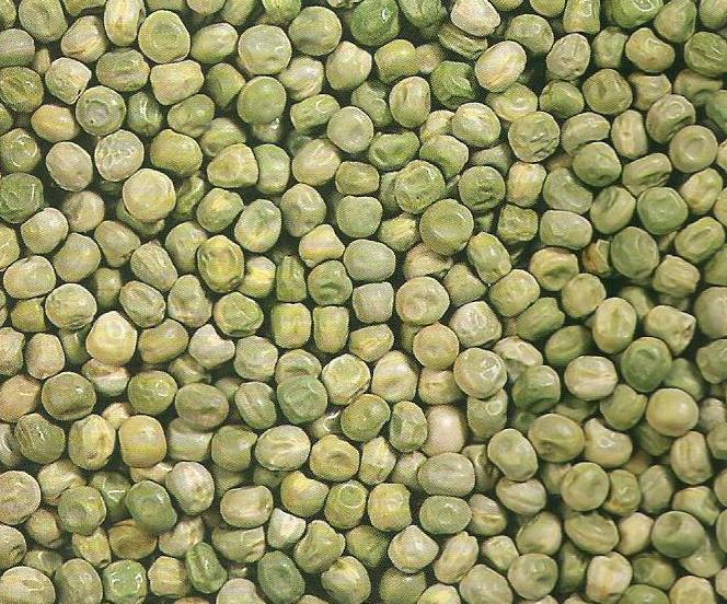 Горох зеленый колотый. Зеленый горох крупа. Горох зеленый сухой. Горох зеленый шлифованный. Крупа зеленый горох.