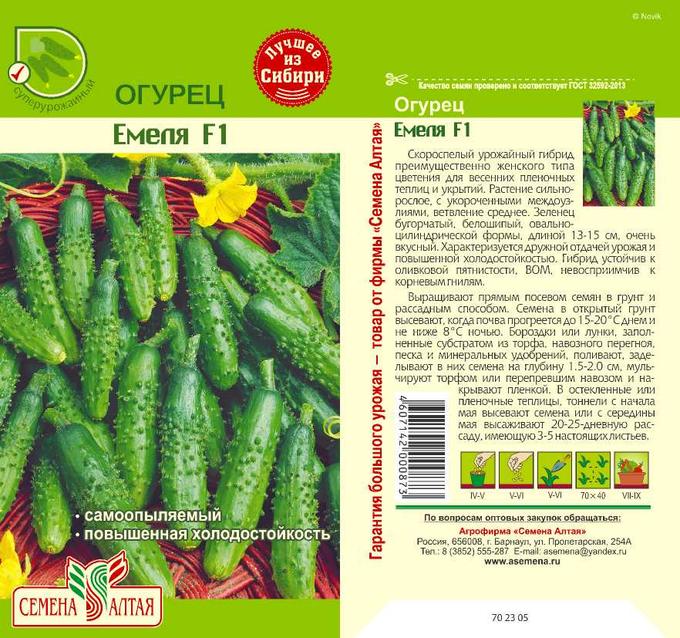 Огурцы емеля описание сорта фото