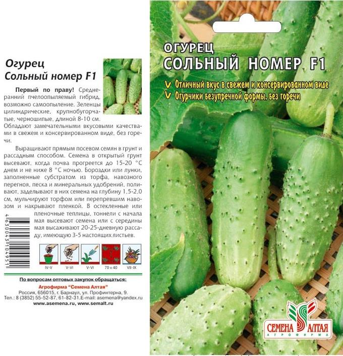 Какие семена огурцов купить для открытого грунта