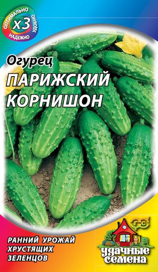 Огурец парижский корнишон схема посадки
