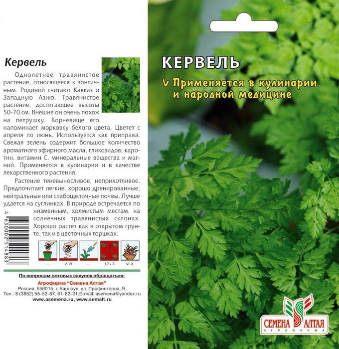 Дикий кервель