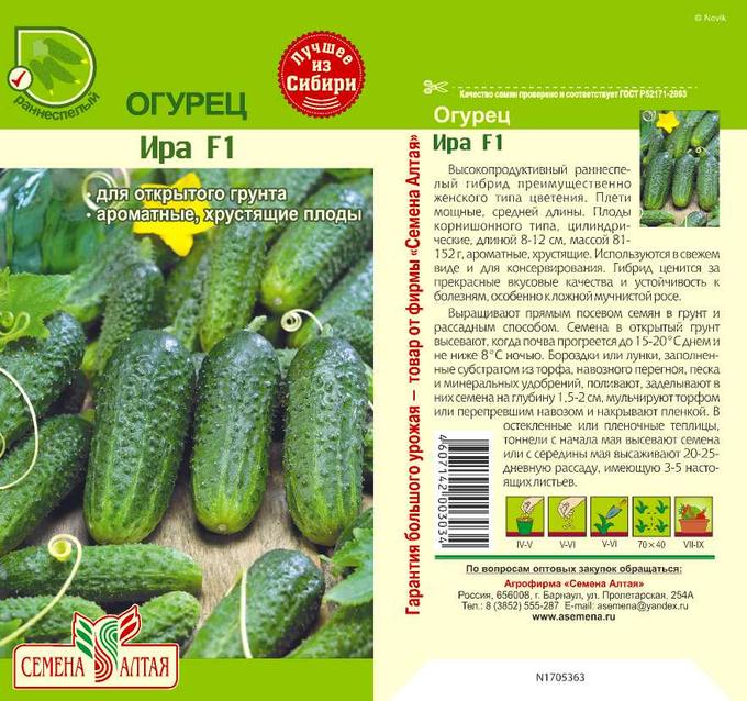 Семена алтая огурец изящный. Огурец изящный. Огурцы изящный отзывы описание. Огурец изящный 200% 1гр/10/200. Огурец изящный.
