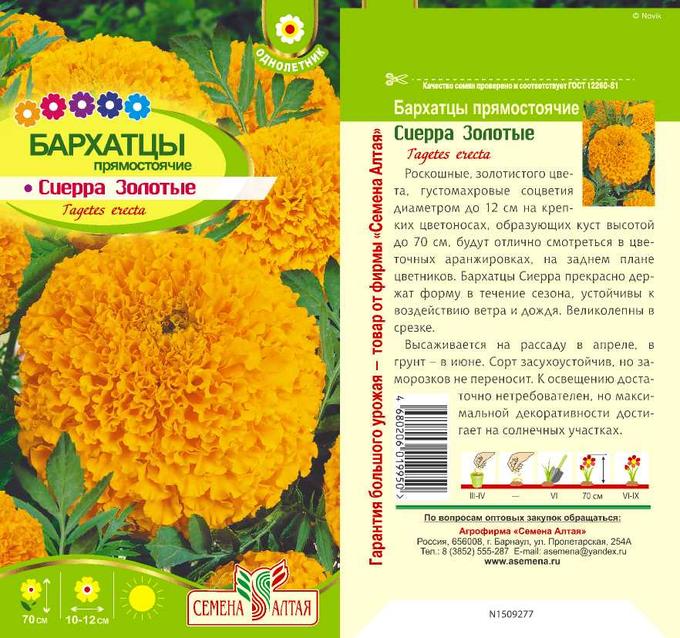 цв. бархатцы примо смесь карликовые/сем алт. бархатцы апельсин прямостоячие 90см. бархатцы солнечные зайчики семена алтая. бархатцы семена алтая.