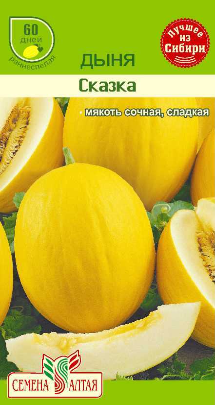 Дыня сказка описание сорта фото