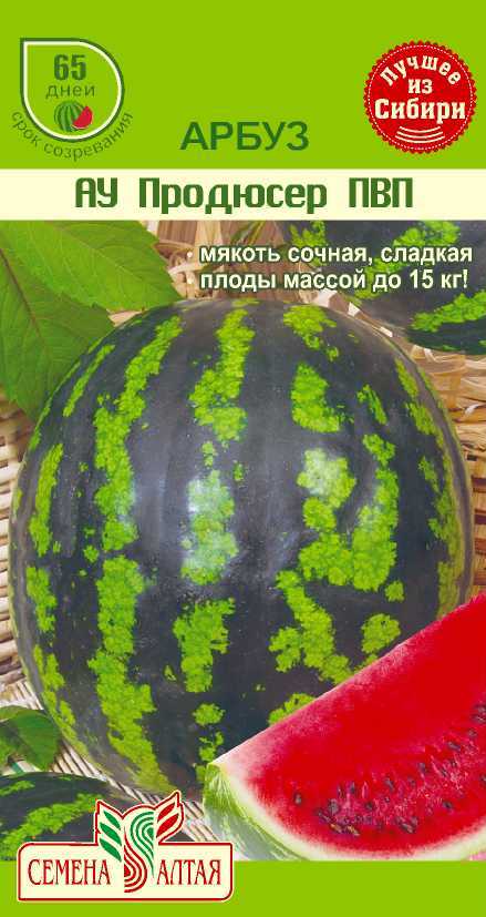 семена продюсер