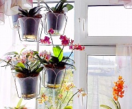 Корзинки для больших орхидей