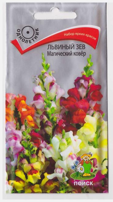 Поиск Львиный зев Магический ковер (Код: 66903)