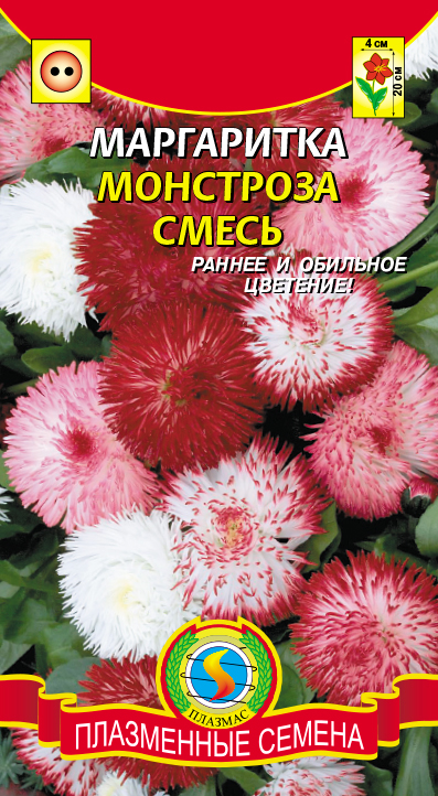 Маргаритка Монстроза, смесь (яркие пёстрые цветки, раннее и обильное цветение)