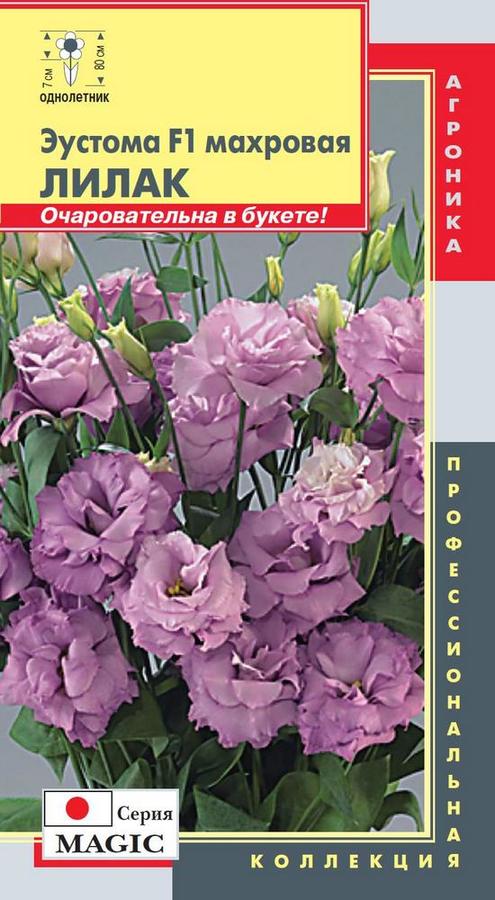 Семена цветов эустома фото