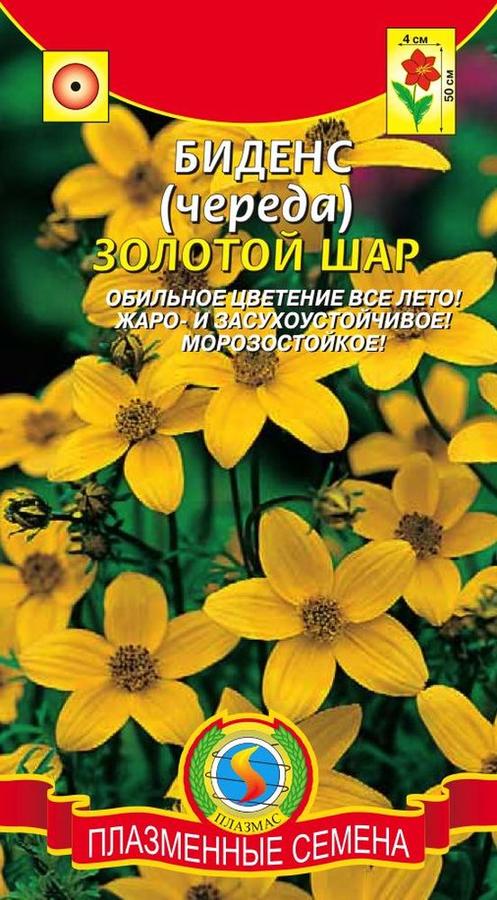 Как выглядят семена биденс