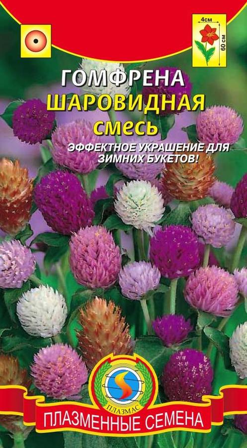 Семена цветов сухоцветов фото