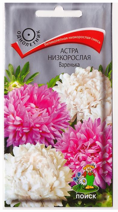 Семена Астра низкорослая ковер смесь