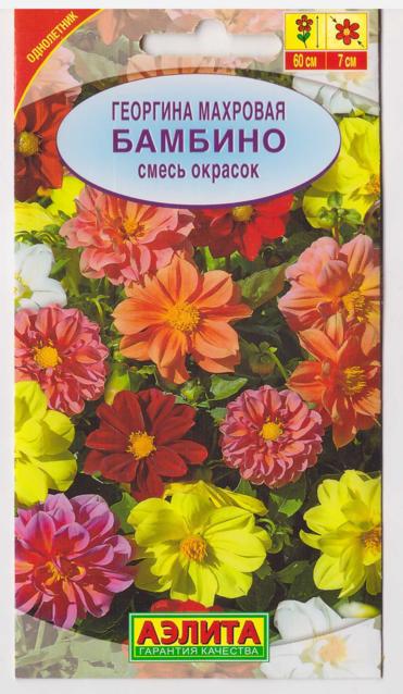 Аэлита Георгина Бамбино (смесь) (Код: 16415)