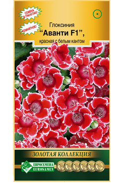 Семена Глоксиния АВАНТИ F1, красная с белым кантом (5 драже)