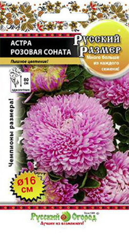 Цветы Астра Русский размер Розовая соната (0,2г)