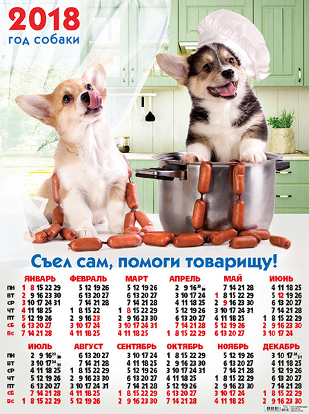 График года собаки. Календарь год собаки. Год собаки когда был. Год собаки какие года. Год собаки когда будет следующий.