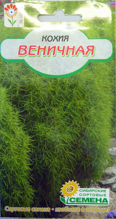 Кохия веничная Грин Форест