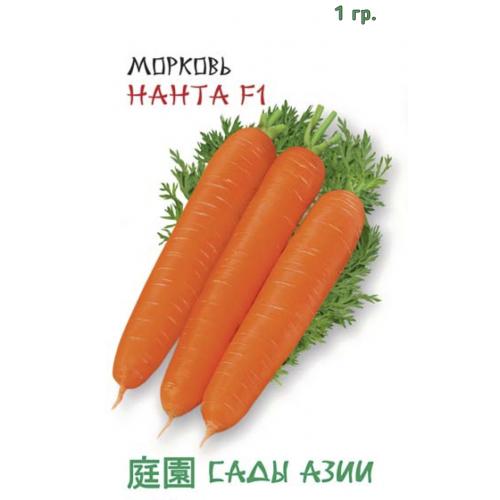 Морковь Нанта