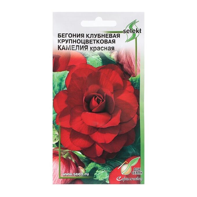 Дом семян Семена цветов Бегония крупноцвет &quot;Камелия&quot;,  красная,     10 шт