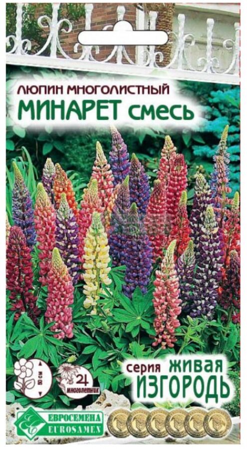 Люпин многолистный минарет