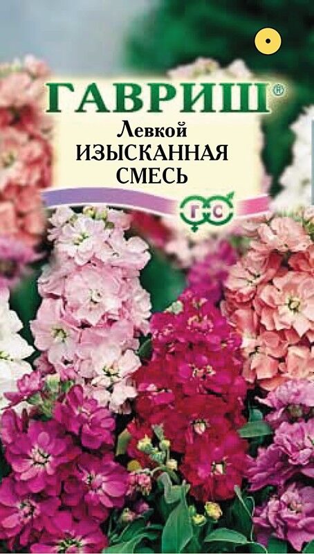 Гавриш левкой изысканная смесь