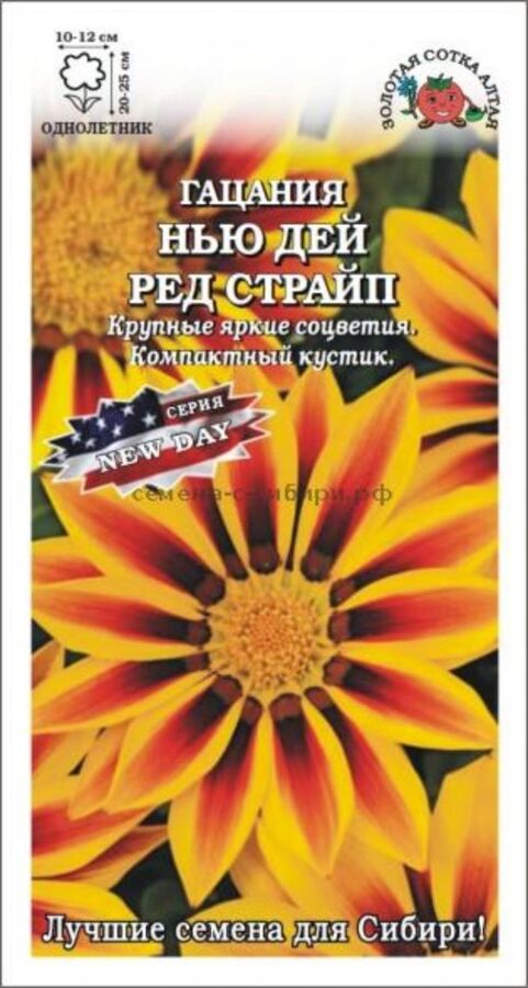 Гацания Нью дей ред
