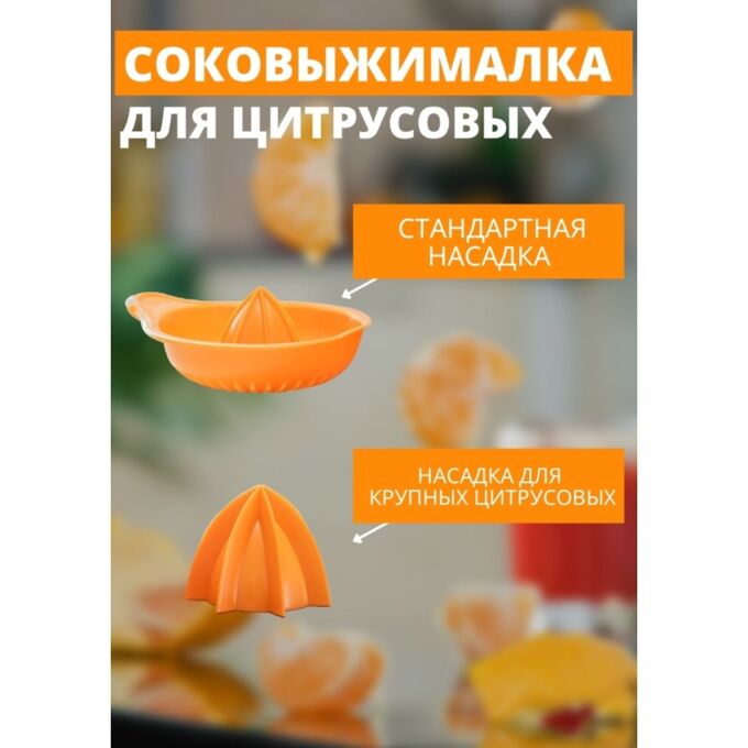 Martika Соковыжималка для цитрусовых «Мадена», 300 мл, цвет МИКС