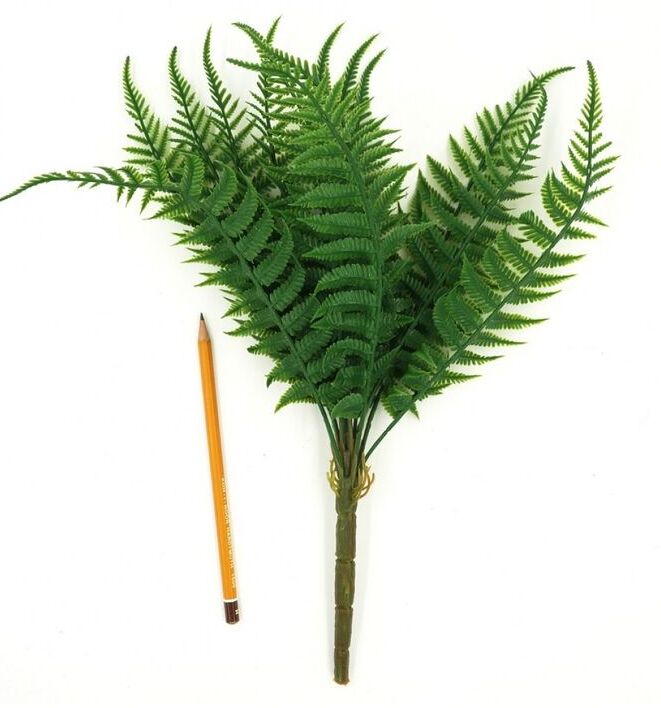 Папоротник куст 36 см цвет зеленый