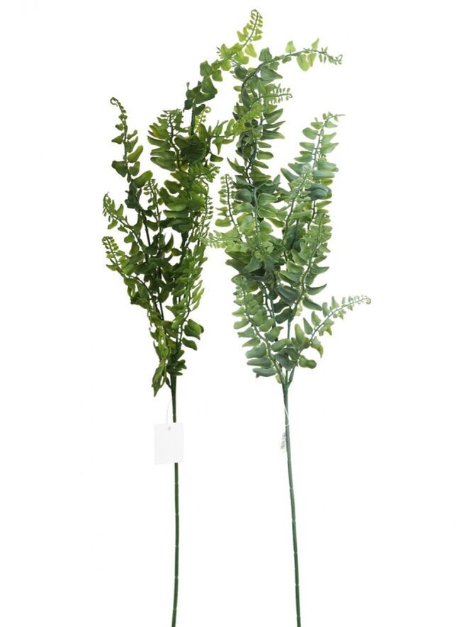 Папоротник ветка 70 см Нефролепис цвет зеленый