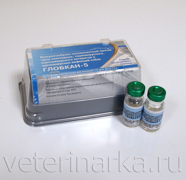 Сыворотка глобкан 5. Мультикан 1. Иммуноглобулиновые препараты для животных. Сыворотка глобкан 5. Вакцина мультикан 6.