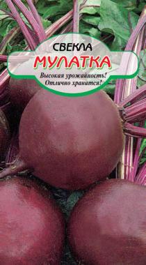 Сибирские сортовые семена Мулатка свекла 1,5г Р (ссс)