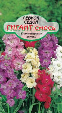 Сибирские Сортовые Семена Гигант седой, смесь левкой 0,1гр (ссс)