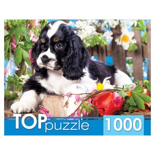 Рыжий кот Пазл 1000 Щенок спаниеля в саду ГИТП1000-2143