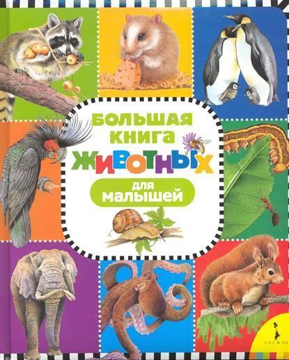 Картинки животных для детей книга Уценка. Большая книга животных для малышей Энциклопедии. Учебные пособия