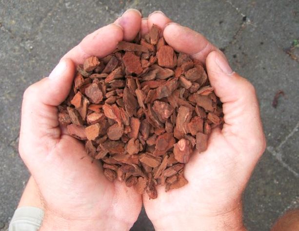 Kiwi Orchid Bark Кора сосны лучистой КИВИ ОРКИД БАРК Новая Зеландия.