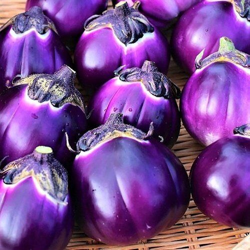 Сорт баклажан Violetta lunga2