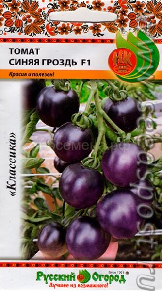 Семена для Сибири Томат Синяя Гроздь F1 (НК)