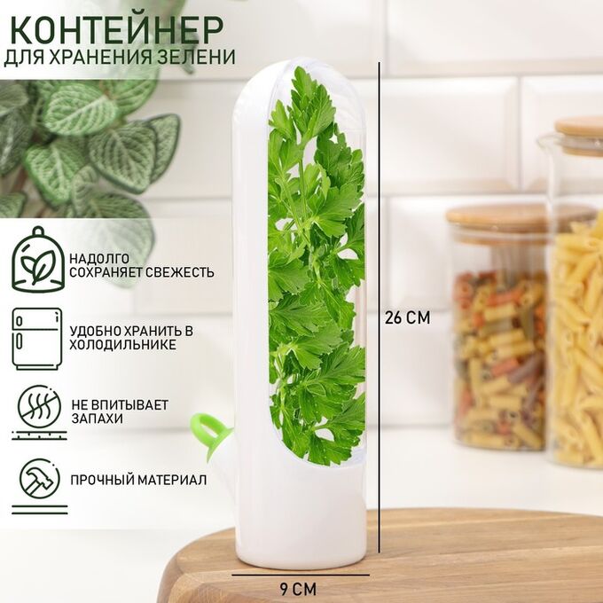 Контейнер для хранения зелени Доляна Fresh, пластик, 500 мл, белый