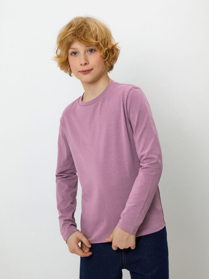 Acoola Джемпер детский для мальчиков Carsos серо-фиолетовый