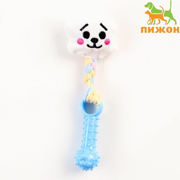 Пижон Игрушка облако, 19 см + TPR игрушка голубая