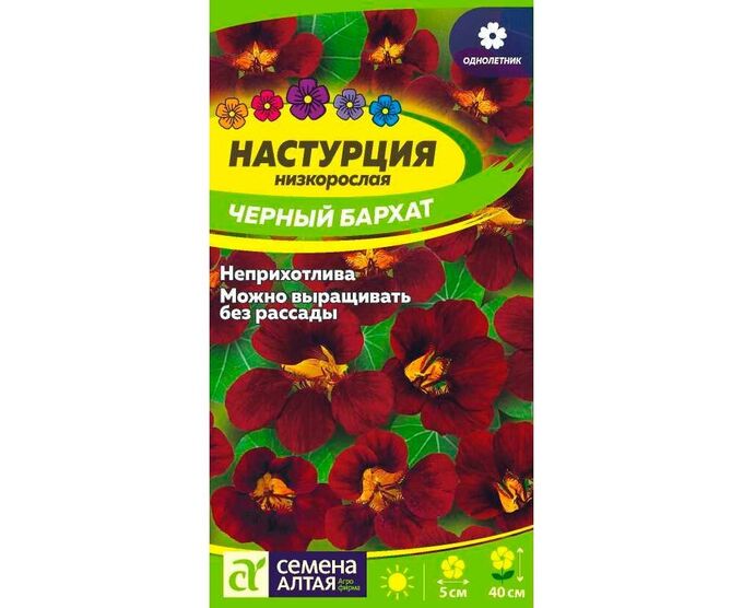Семена Алтая Настурция Черный Бархат 0,5г