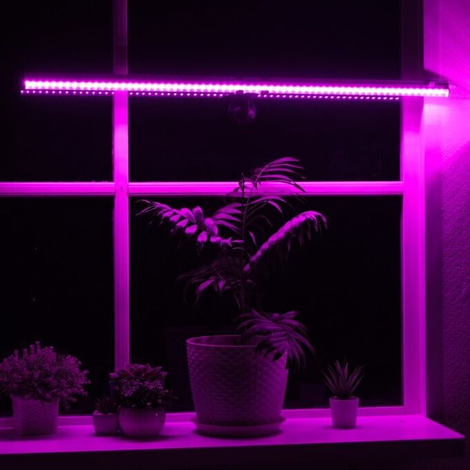 UNIEL Фитолампа (светильник для растений светодиодный линейный), 570мм, выкл. на корпусе, пластик, сине-красным свечением, ULI-P28-11W/SPSB IP20 WHITE