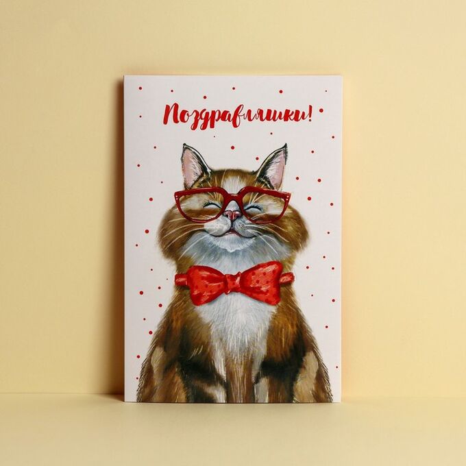 Дарите Счастье Открытка «Поздравляю», добрый кот, 12 х 18 см