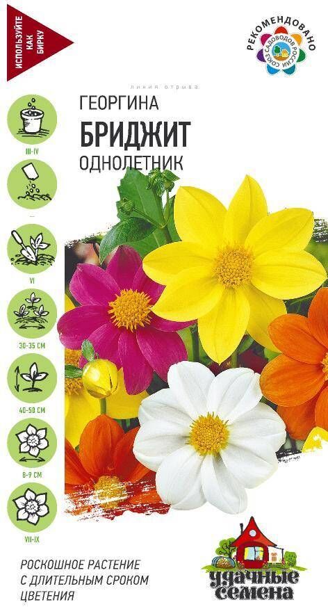 Удачные семена Цветы Георгина Бриджит Смесь ЦВ/П (ГАВРИШ) 0,3гр однолетник 40-50см