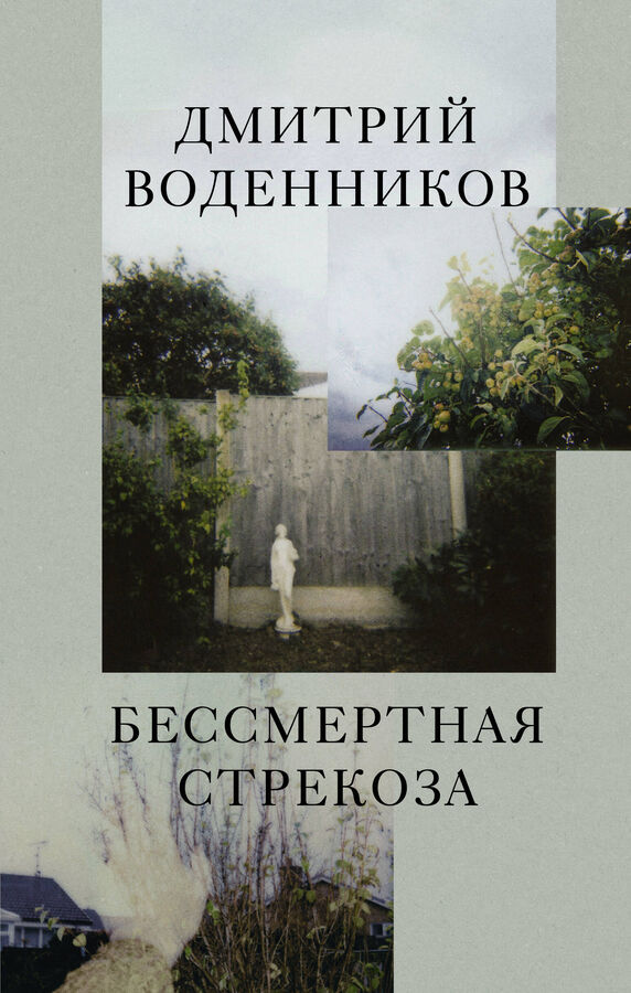 Издательство АСТ Воденников Д.Б. Бессмертная стрекоза